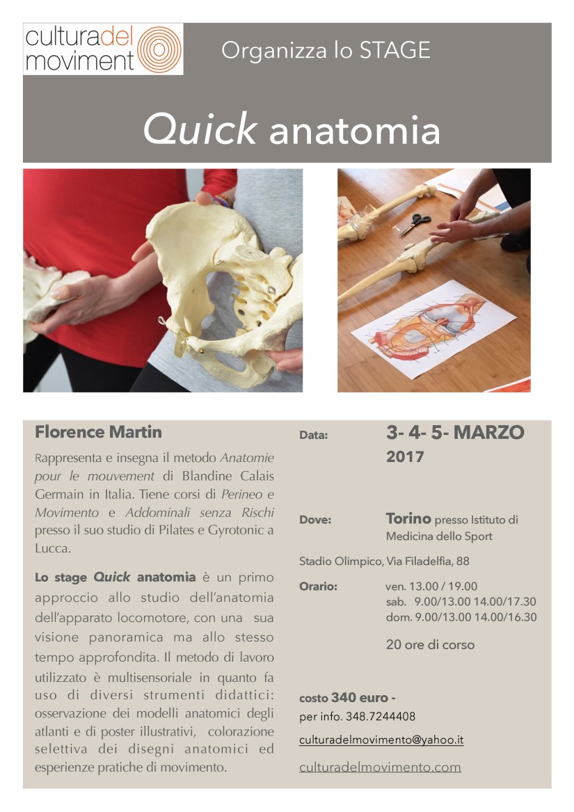 anatomia-jpg